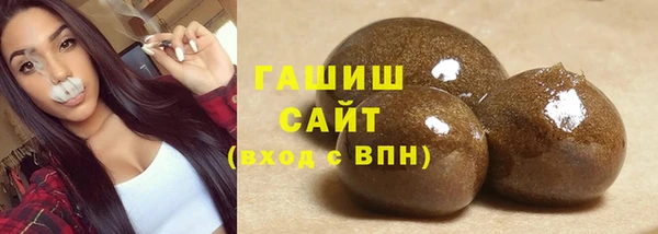 спиды Ельня