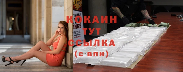альфа пвп Новодвинск