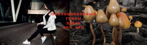 соль ск Новозыбков