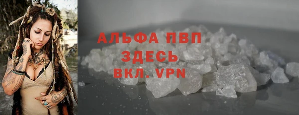соль ск Новозыбков