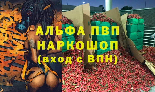 альфа пвп Новодвинск