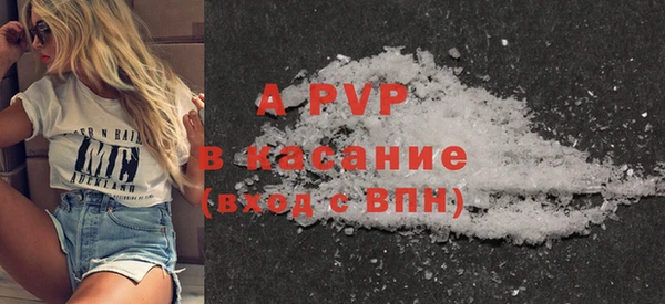 соль ск Новозыбков