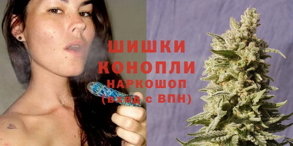 соль ск Новозыбков