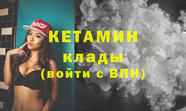 соль ск Новозыбков