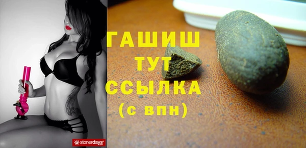 соль ск Новозыбков