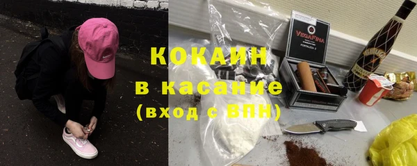 стаф Нея
