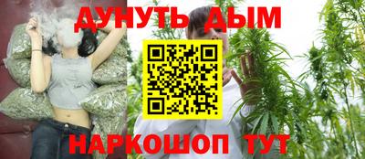 сатива Гагарин
