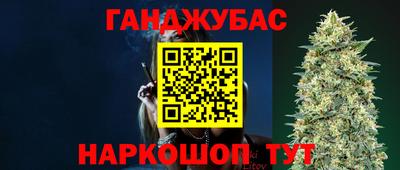 сатива Гагарин