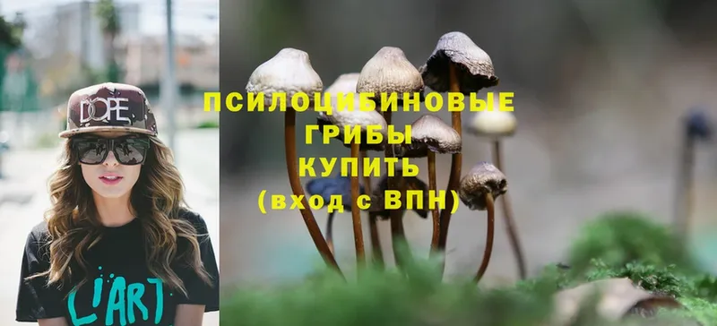 Псилоцибиновые грибы Psilocybe  кракен ССЫЛКА  Краснокамск  закладки 