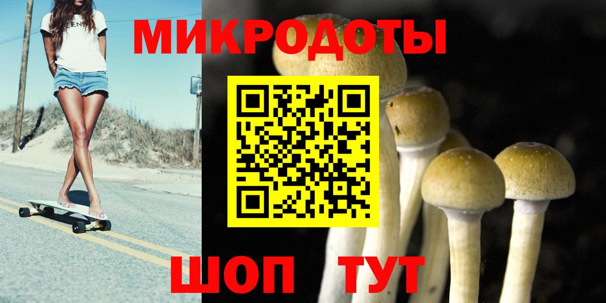 Псилоцибиновые грибы Psilocybe Краснокамск